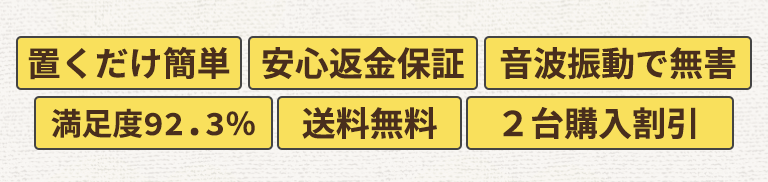 今ならお得