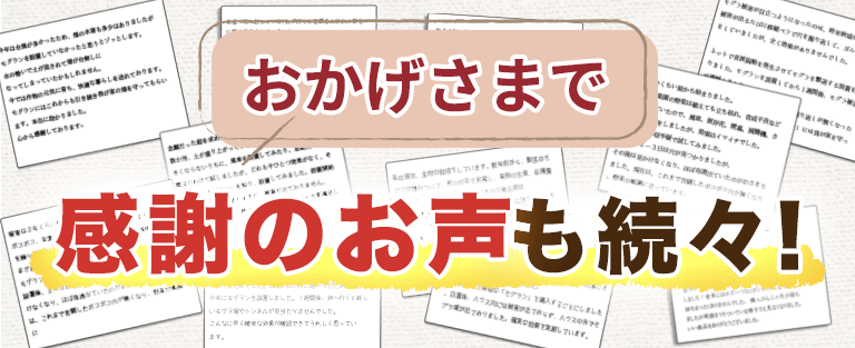 お客様の声タイトル1